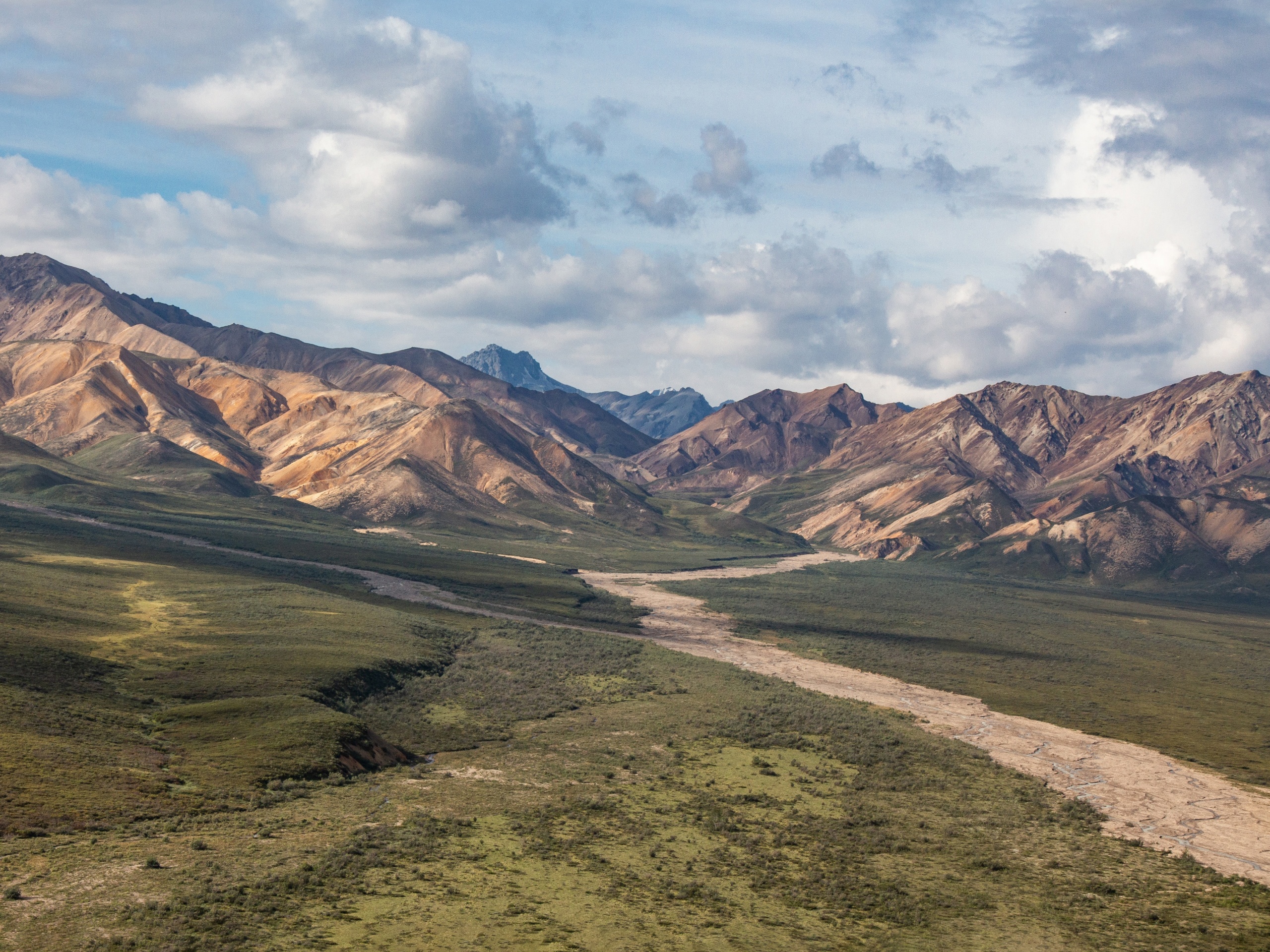 Denali National Park