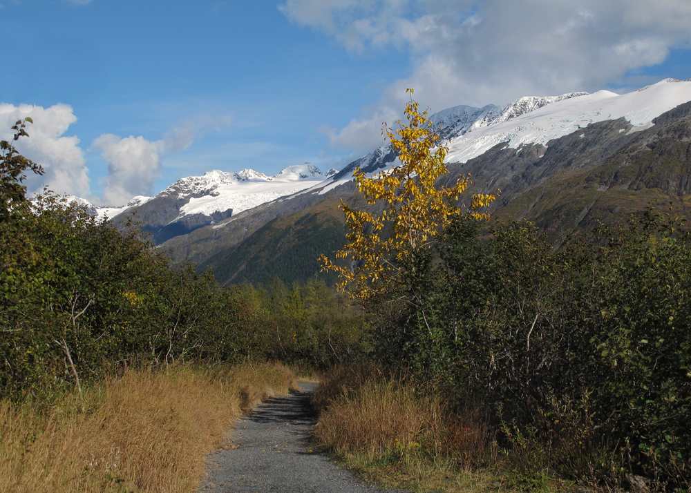 Byron Glacier Trail