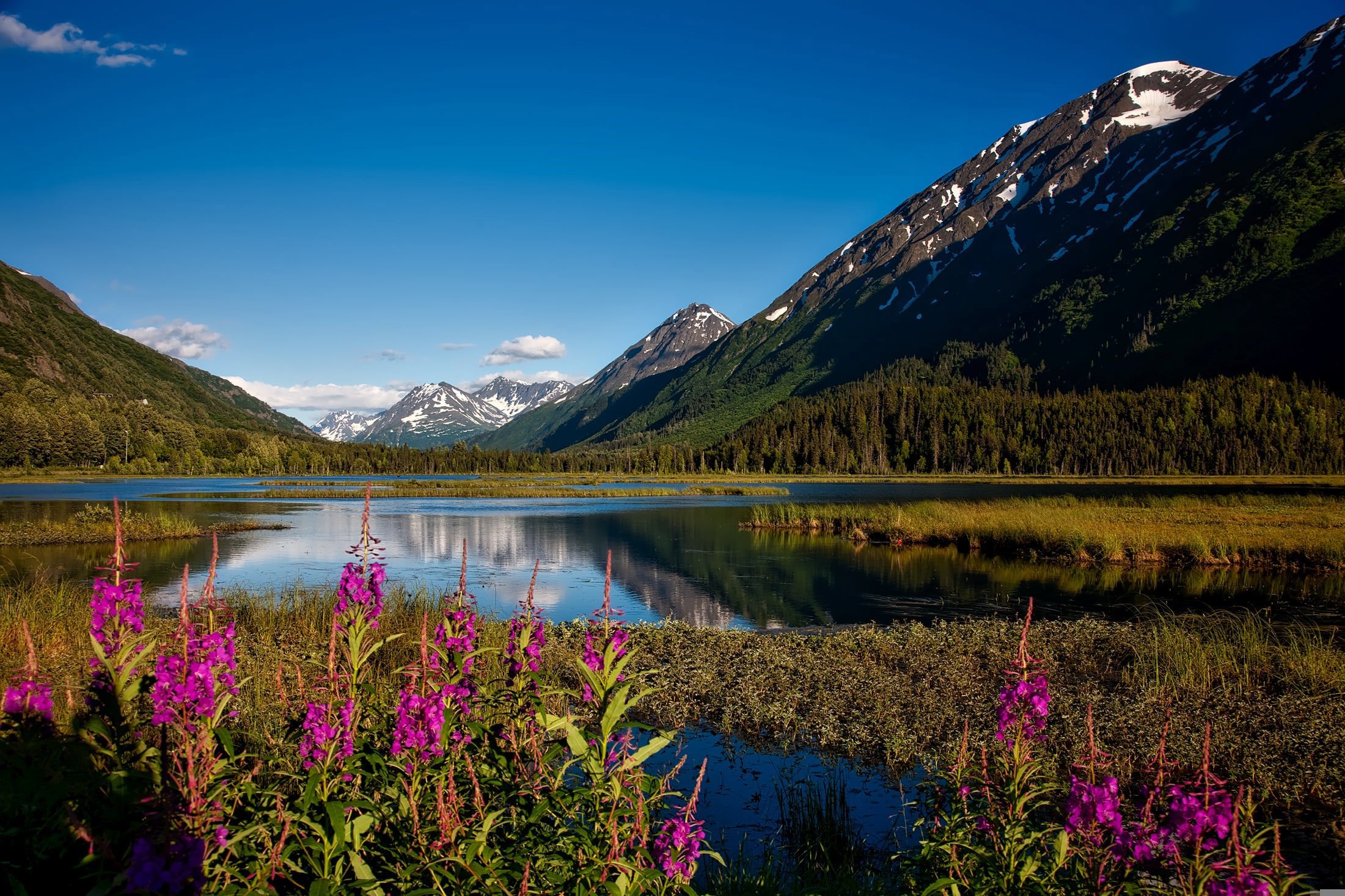 Climb up the Placer River Valley to the alpine meadows at Grandview