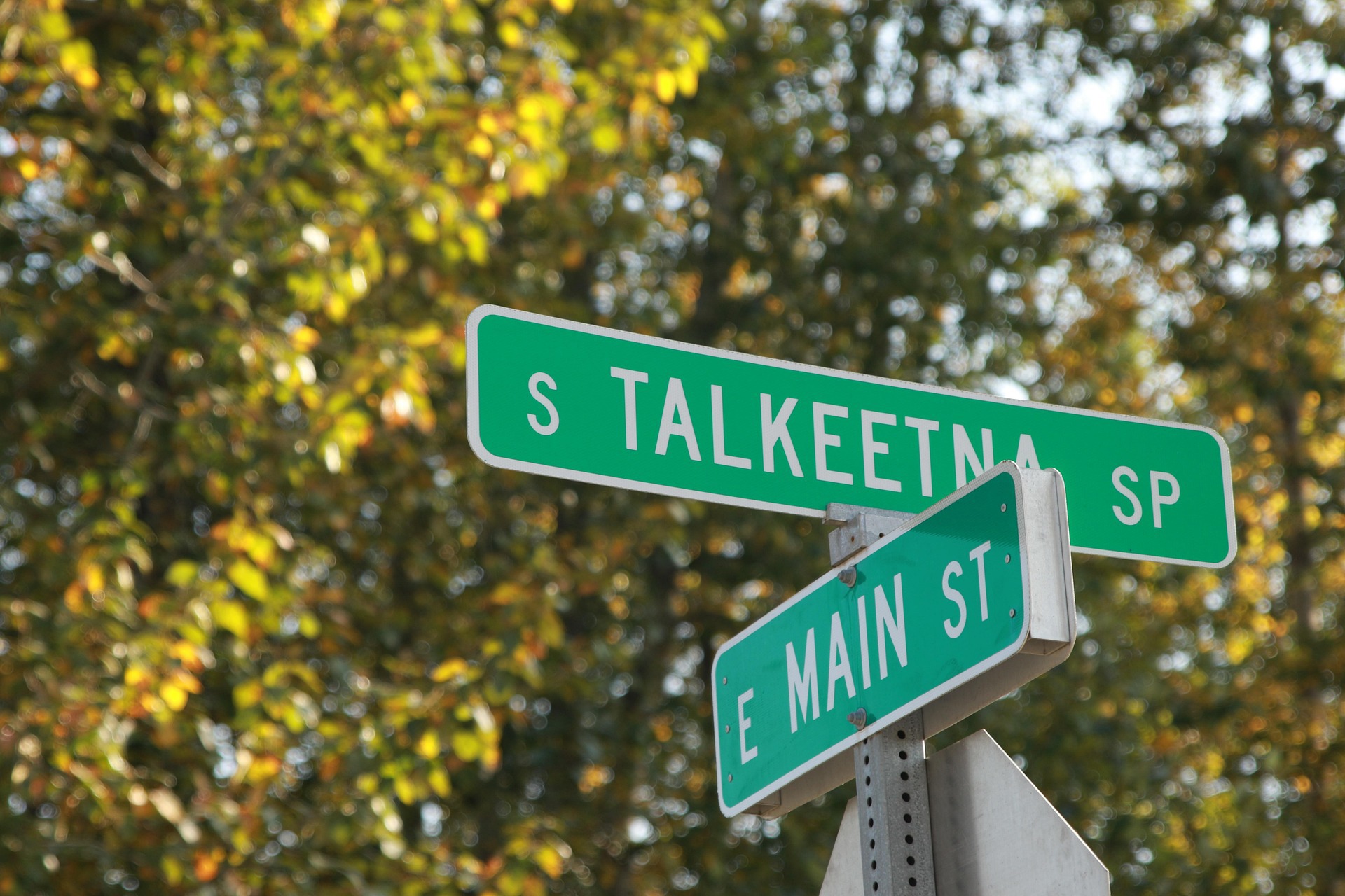 Main Street Sign in Talkeetna